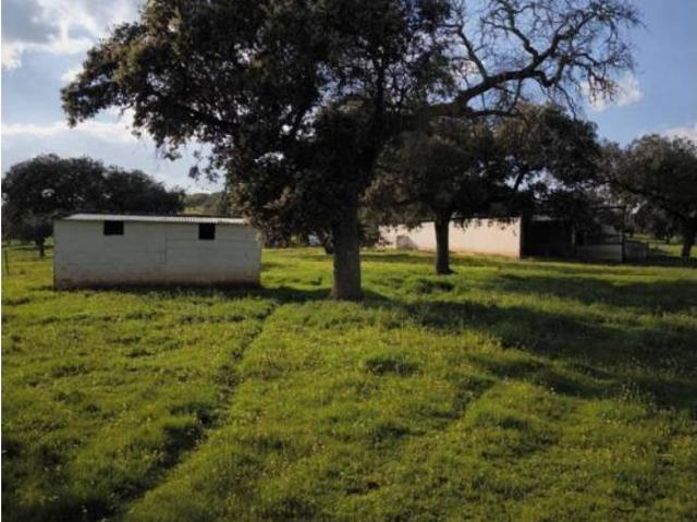 Terreno en Venta en Fuente Obejuna