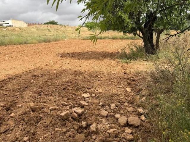 Terreno en venta en Fuentealbilla, Castilla la mancha