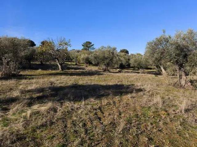 Terreno en Venta en Fuentes de León