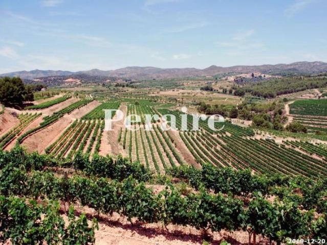 Terreno en venta en Falset, Zona montsant