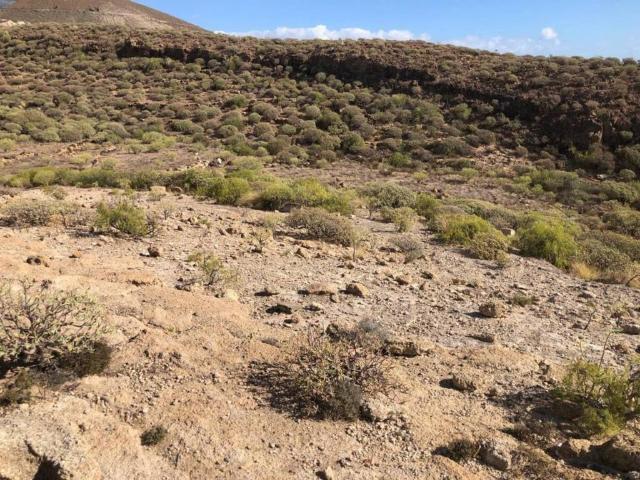 Terreno en Venta en Fasnia