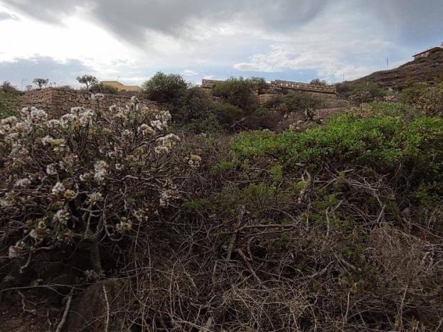Terreno en Venta en Fasnia