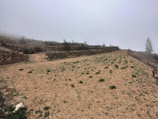 Terreno en Venta en Fasnia