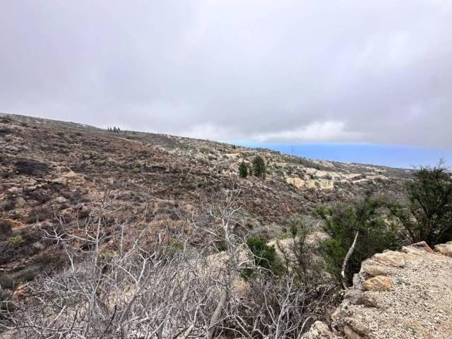 Terreno en Venta en Fasnia