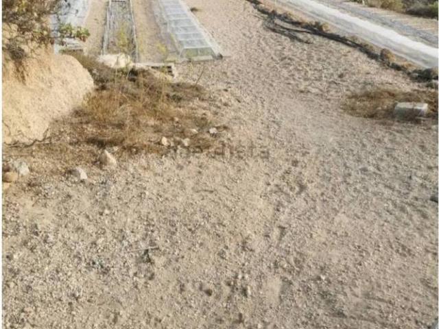 Terreno en Venta en Fasnia