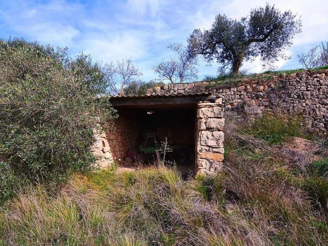 Terreno en venta en Fatarella, La, de 10.100 m² por 9.000
