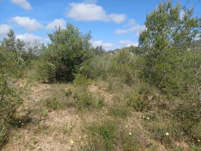 Terreno en Venta en Felanitx