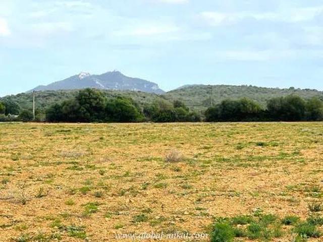 Terreno en Venta en Felanitx