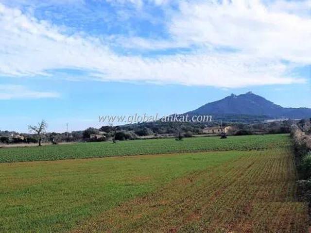 Terreno en Venta en Felanitx