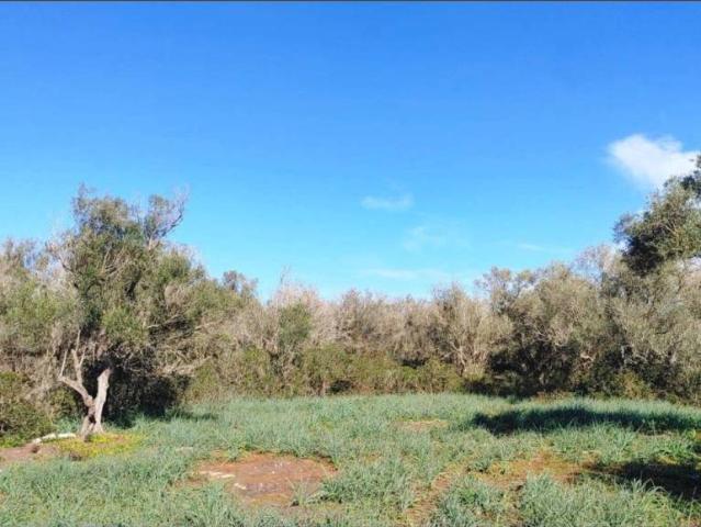 Terreno en Venta en Felanitx