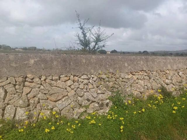 Terreno en Venta en Felanitx
