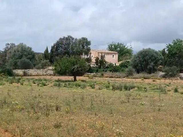 Terreno en Venta en Felanitx