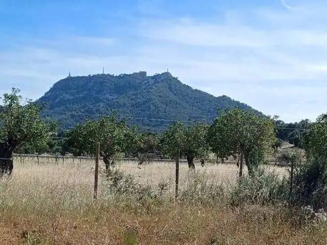 Terreno en Venta en Felanitx