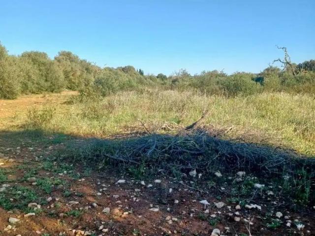 Terreno en Venta en Felanitx
