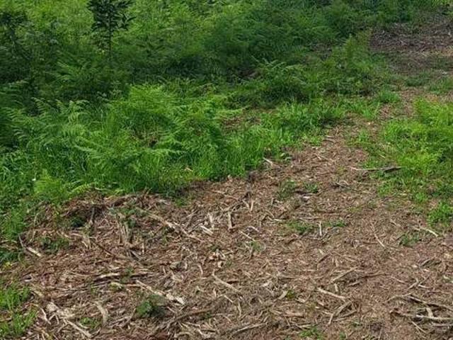 Terreno en Venta en Fene