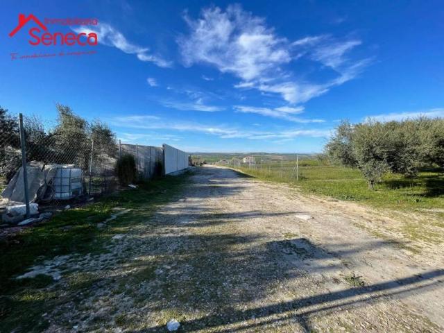 Terreno en Venta en Fernán Núñez