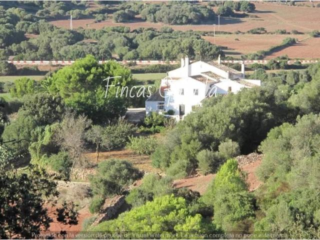 Terreno en Venta en Ferreries