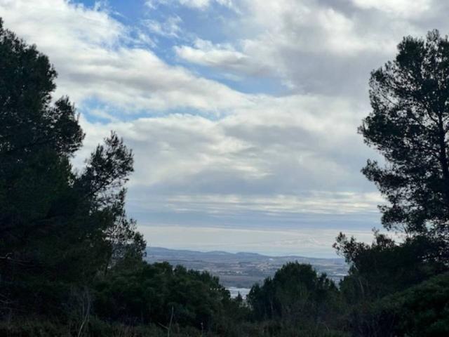 Terreno en Venta en Figuerola del Camp