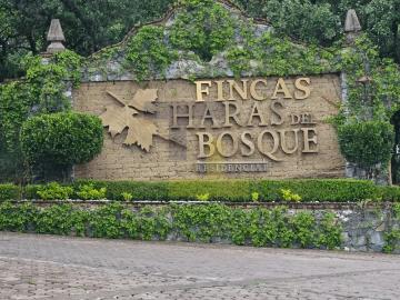 Terreno en Venta en Fincas Haras del Bosque – 1,008 m² en Fraccionamiento Privado