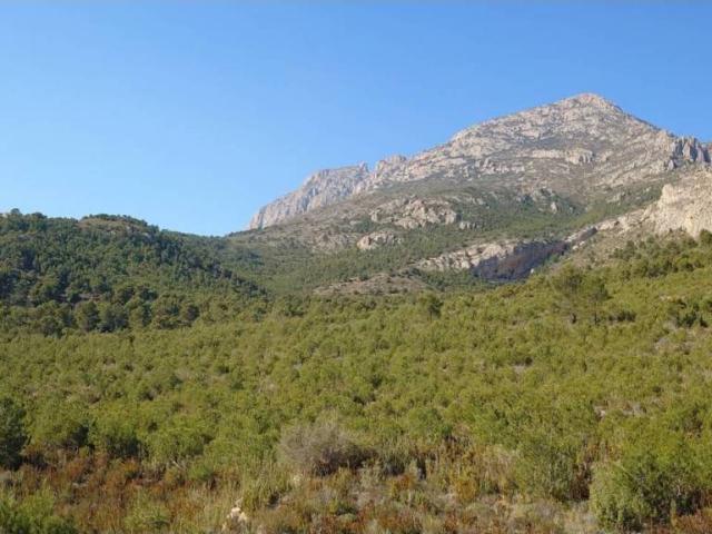 Terreno en Venta en Finestrat