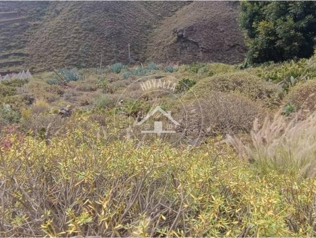 Terreno en Venta en Firgas