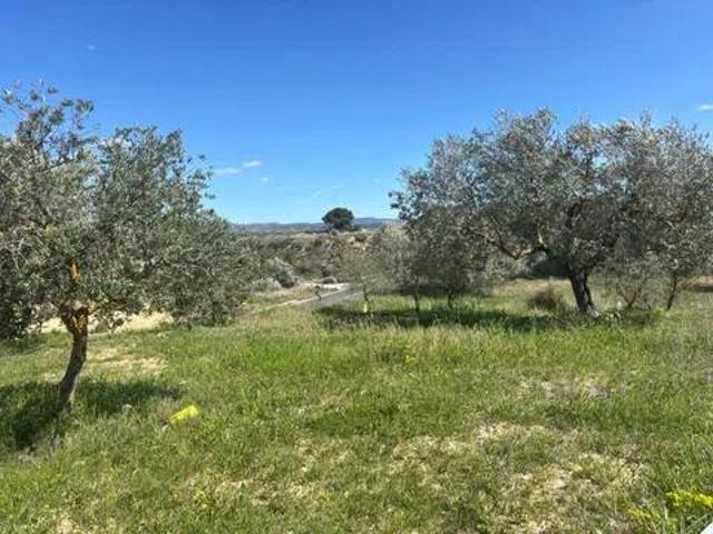Terreno en Venta en Flix
