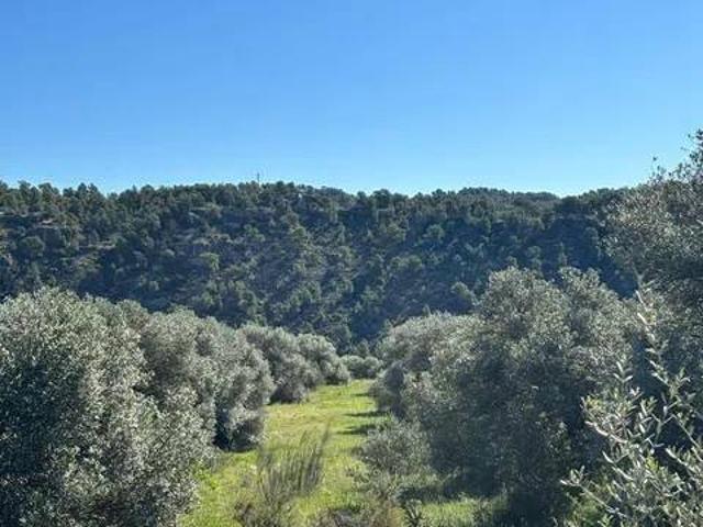 Terreno en Venta en Flix