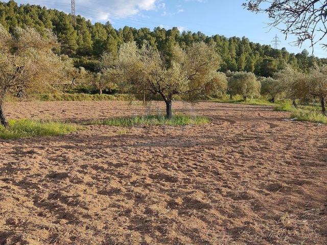 Terreno en venta en Flix, de 13.250 m² por 30.000