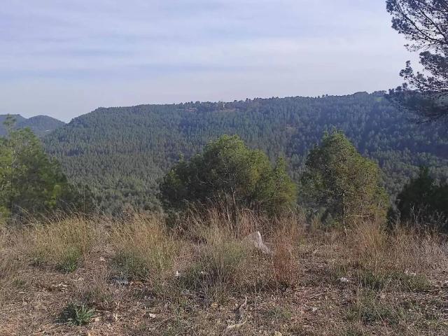 Terreno en Venta en Fonollosa