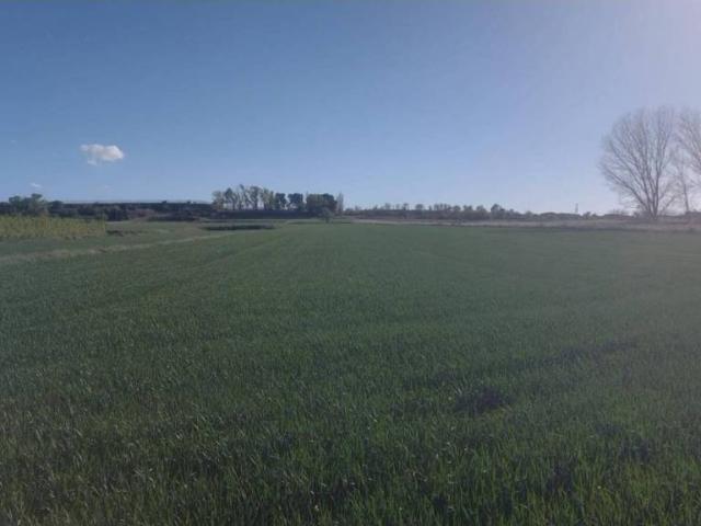 Terreno en Venta en Fondarella