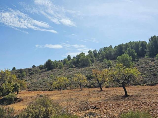 Terreno en Venta en Fondón