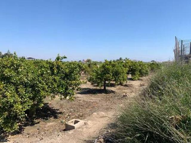 Terreno en Venta en Formentera del Segura