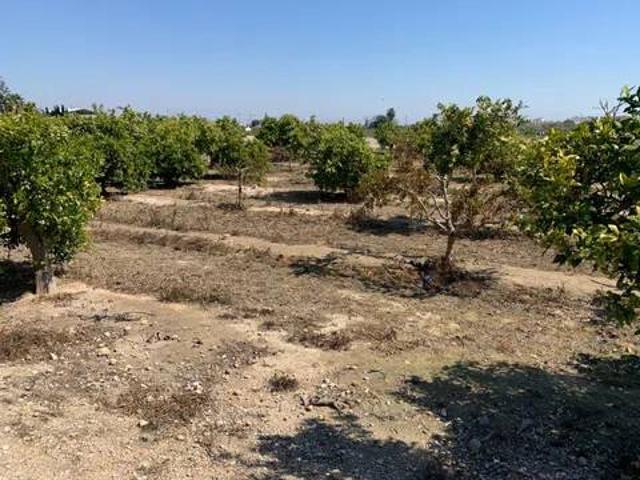 Terreno en Venta en Formentera del Segura