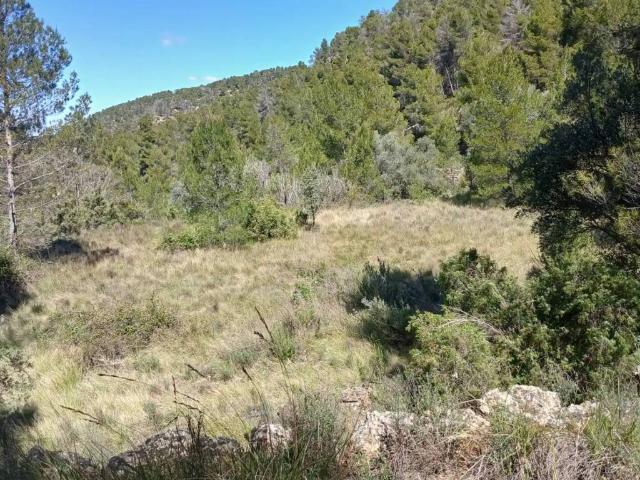 Terreno en Venta en Fórnoles