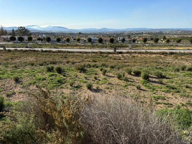 Terreno en Venta en Fortuna