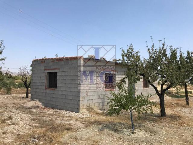Terreno en Venta en Fortuna