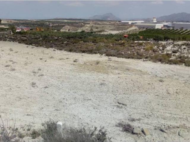 Terreno en Venta en Fortuna