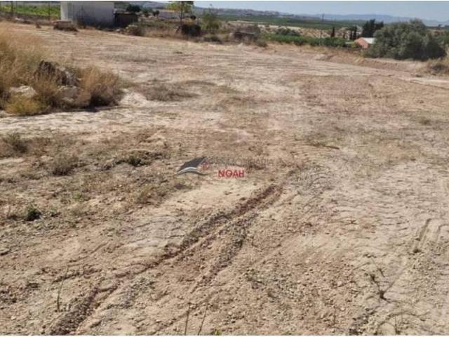 Terreno en Venta en Fortuna