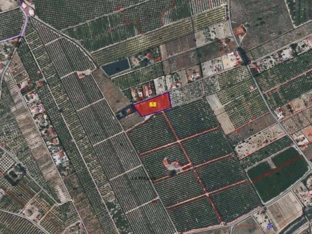 Terreno en venta en Fortuna, EL RELOJ
