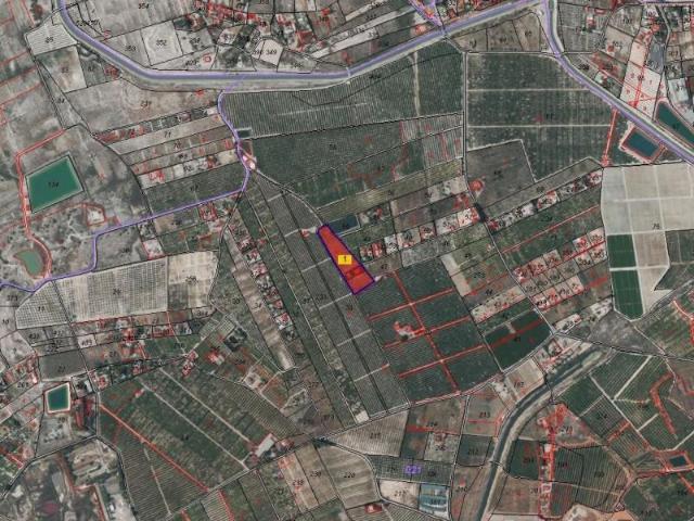 Terreno en venta en Fortuna, EL RELOJ