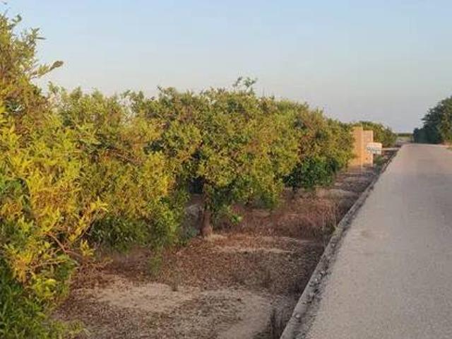 Terreno en Venta en Fortaleny