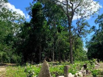 ¡Terreno en Venta en Francisco Uh May! A solo minutos de Tulum y del Aeropuer