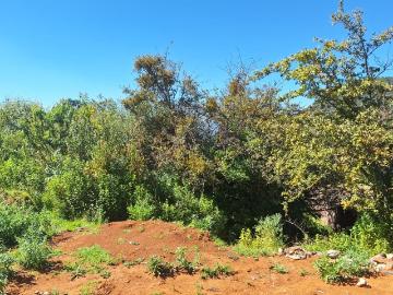 Terreno en venta en Francisco I. Madero, El Oro, Edo. México