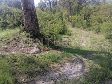 Terreno en Venta en Fracc. el Tejocote, Chapa de Mota, Mex