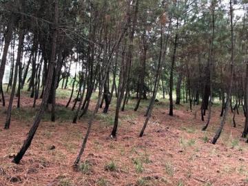 TERRENO EN VENTA EN FRACC PRIVADO EN ATEMAJAC DE BRIZUELA
