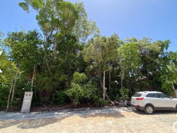 Terreno en Venta en Fraccionamiento Aldea Kaan