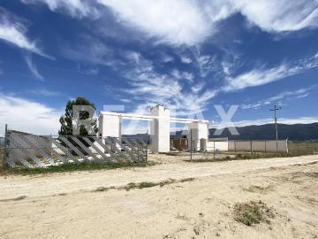 Terreno en VENTA en Fraccionamiento Campestre Las Calandrias