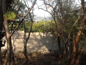 Terreno en venta en Fraccionamiento Campo la Leona, Tetecalita, Morelos