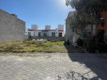 Terreno en Venta en Fraccionamiento Casa Fuerte Casa Fuerte 240