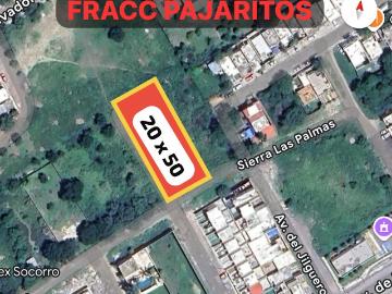 Terreno en Venta en Fraccionamiento Pajaritos